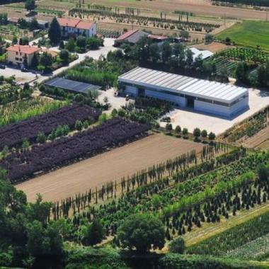 Frappi Gino e Figli Vivai