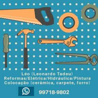 Leo Reformas