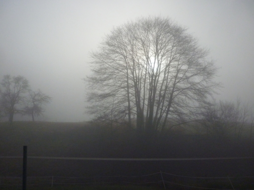 Burkhard Weineck