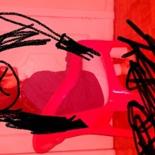 Stultus