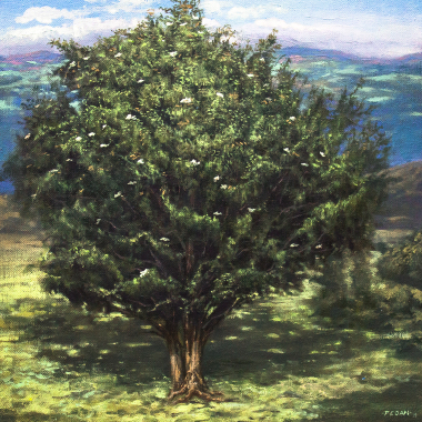 Mario Fegan , Pintor