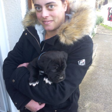 Aurélie promeneuse de chiens