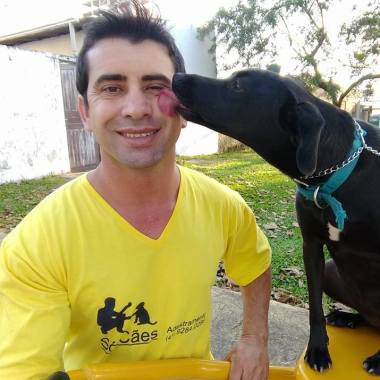 Só Cães