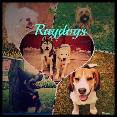 Paseadores de perros Raydogs Peru personalizados
