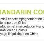 Mandarin consulting 