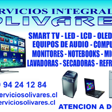 SERVICIOS INTEGRALES OLIVARES