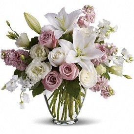 Exquisite Blooms
