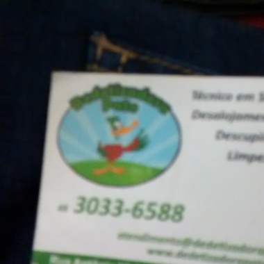 Dedetizadora pato