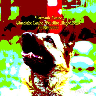 Harmonie Canine