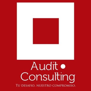 Auditconsulting