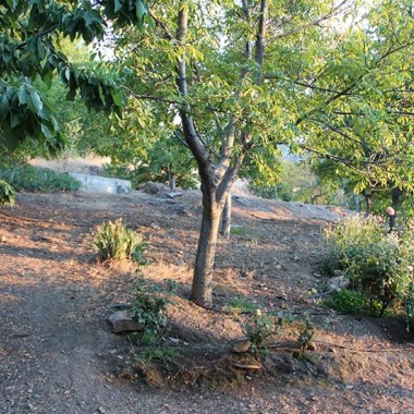 Occitania Prop