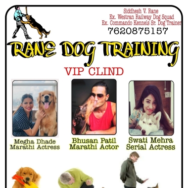 Rane Aquarium ﹠Pet Shop Dog Training