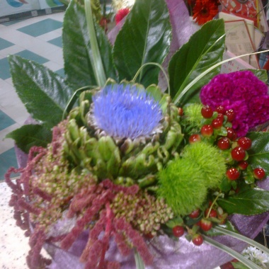 Florista Orquidía Selvagem