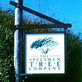 Specimen Tree Company Ltd