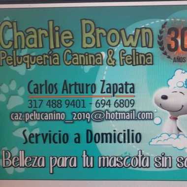 Charlie Brown Peluqueria Canina
