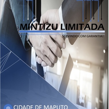 Mintizu Limitada