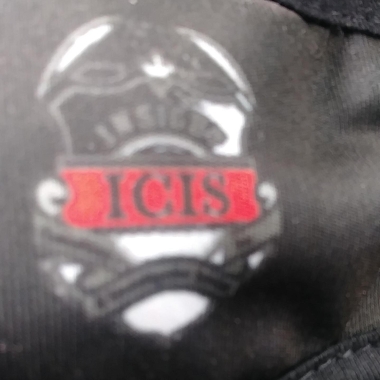 Insight Consulting and Investigative Services Inc
