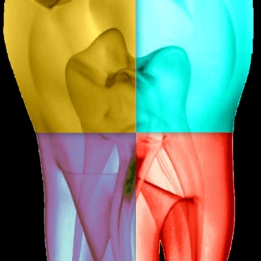 Seville Dental Clinic