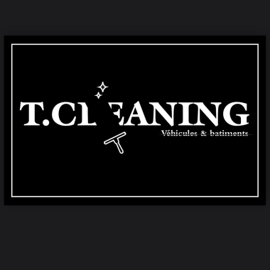 T.cleaning.v