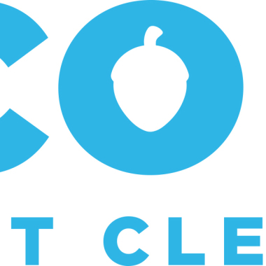 Acorn Carpet Cleaning
