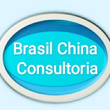 Brasil China Consultoria
