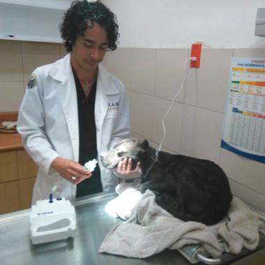 Centro Medico Veterinario "Animal Home"