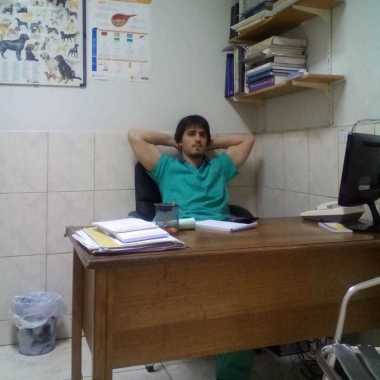 Medico veterinario a domicilio