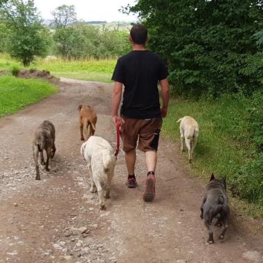Hundeschule ThematikHund - Sebastian Schiffer 