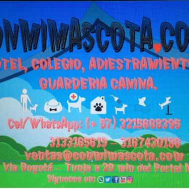 Conmimascota