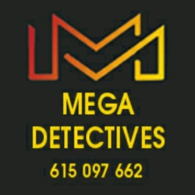 Mega detectives