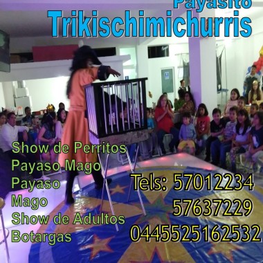 Payaso Con Show De Perritos