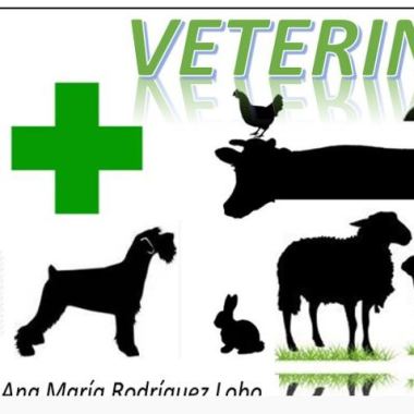 Veterinaria a domicilio, a fincas  o  granjas