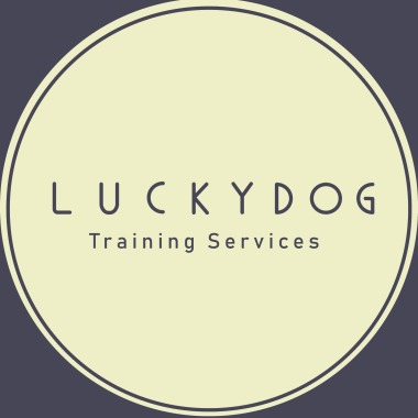 Lucky dog training