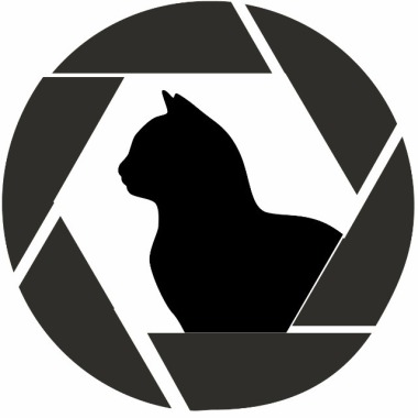 Blackcatfilms