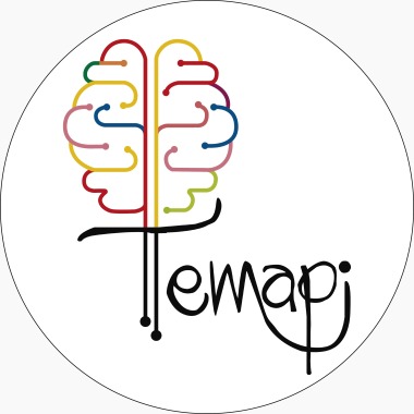 TEMAPI