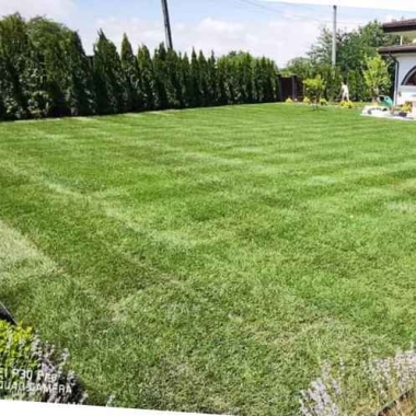 Rogarden
