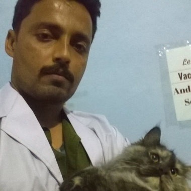 Zubi vets