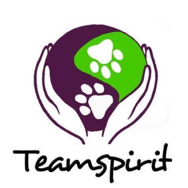 Teamspirit - Zentrum für Mensch und Hund