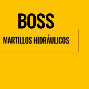 Reparaciones BOSS