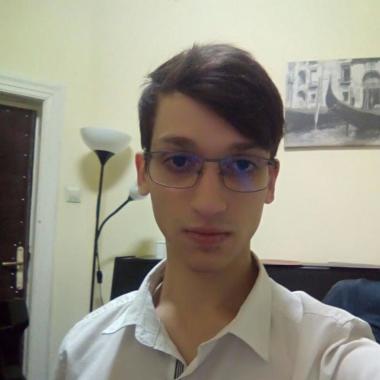 Profesor de vioara, viola și teoria muzici