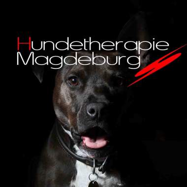 Hundetherapie Magdeburg