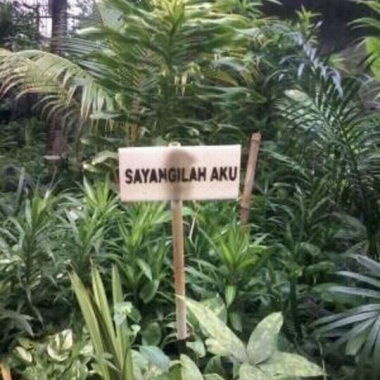 ABDULJALIL