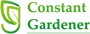 Constant Gardener