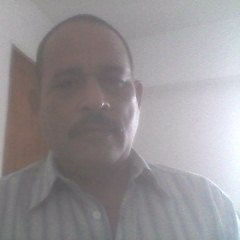 Jose Alvarado, asitente-utilitis