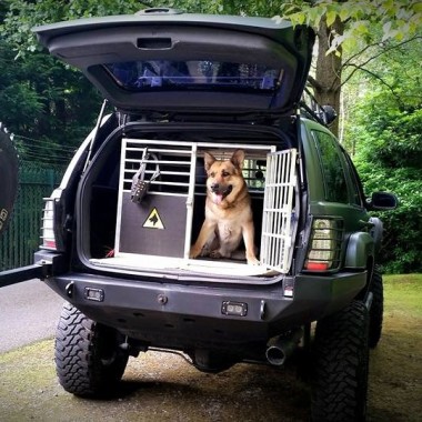Patrol-K9