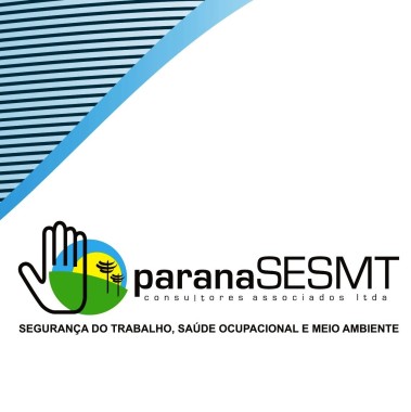PARANASESMT CONSULTORES ASSOCIADOS LTDA