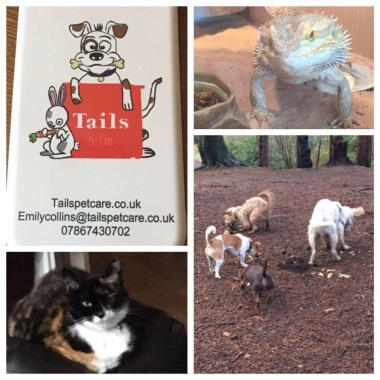 Tails Pet Care