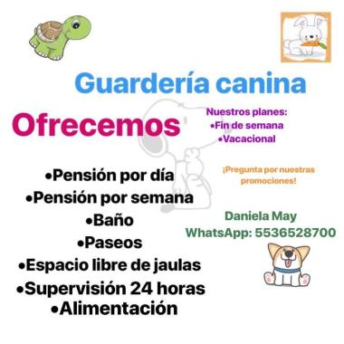 Guardería y cuidado de mascotas