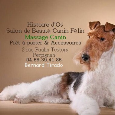 Histoire d'os