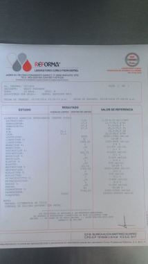 Servicios veterinarios Terranova